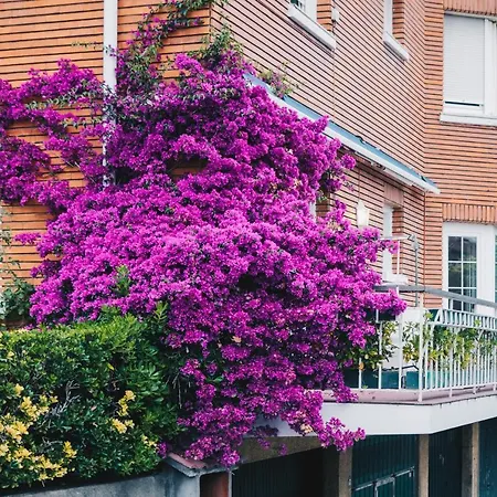 Apartamento Neguri Geltokia By People Bilbao